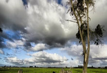 情结复杂！克拉玛依新骑队对哈密巨龙队，对轰熊熊