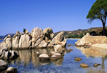 技术娴熟，球队整体气场强劲，期待胜利